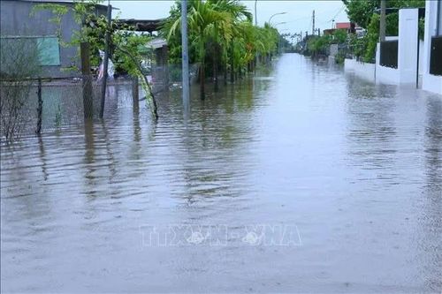 Ninh Bình: Chủ động ứng phó với mưa to kéo dài và lũ
