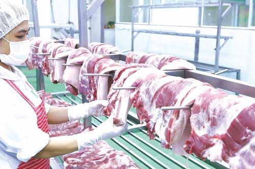 EU siết tên gọi sản phẩm thịt từ năm 2029, doanh nghiệp Việt cần làm gì?