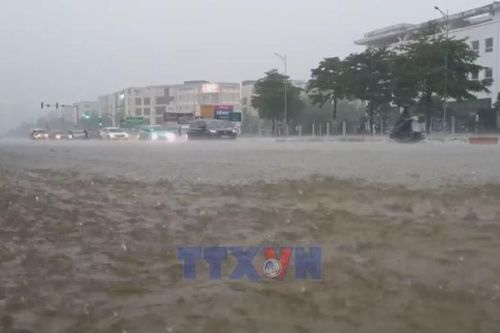 Toàn cảnh_Chống ngập Hà Nội: Hướng tới mô hình 'thành phố bọt biển'