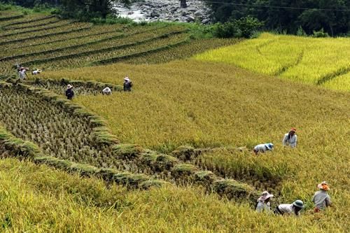 Lào Cai đẩy mạnh chuyển đổi số, phát triển du lịch thông minh