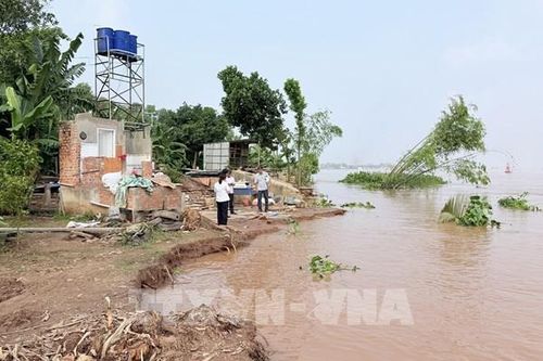 An Giang: Bờ sông Hậu sạt lở nghiêm trọng tại Mỹ Hòa Hưng