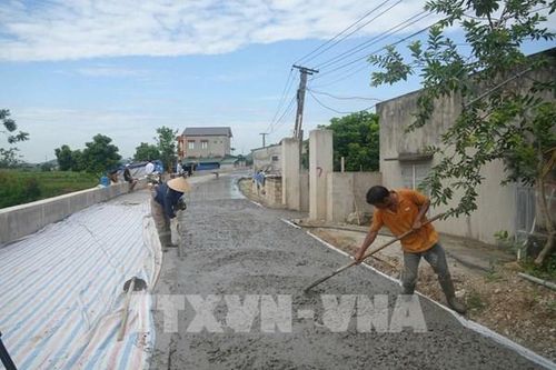 Các tỉnh Ninh Bình và Thanh Hóa đảm bảo an toàn đê điều ứng phó với lũ trên các sông