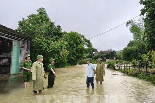 Các tỉnh Phú Thọ, Ninh Bình và Thanh Hóa chủ động ứng phó với lũ trên các tuyến sông