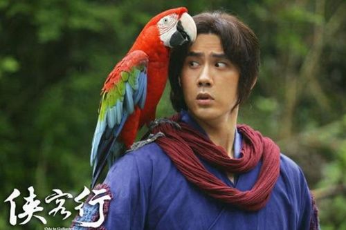 Không phải Độc Cô Cầu Bại, đây mới là cao thủ bất bại của Kim Dung