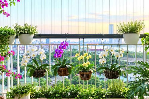 Mùa thu tròn đầy trong căn hộ một người