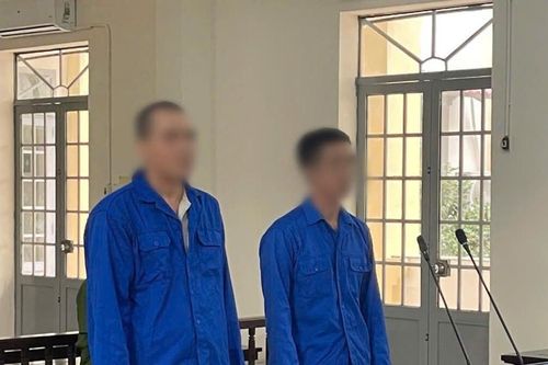 Lĩnh án vì góp tiền mua ma túy về sử dụng