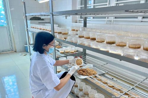 Đánh thức nguồn lực từ khoa học, công nghệ và đổi mới sáng tạo