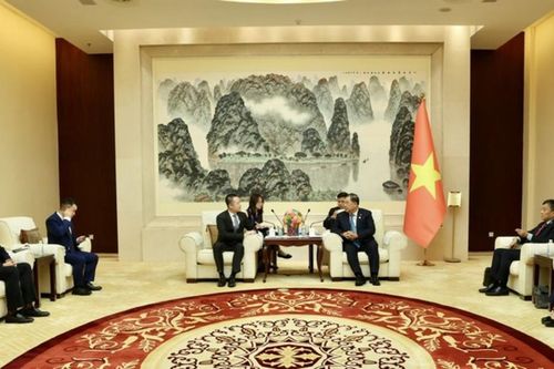 Thúc đẩy hợp tác công nghệ, hạ tầng, năng lượng với các tập đoàn Trung Quốc