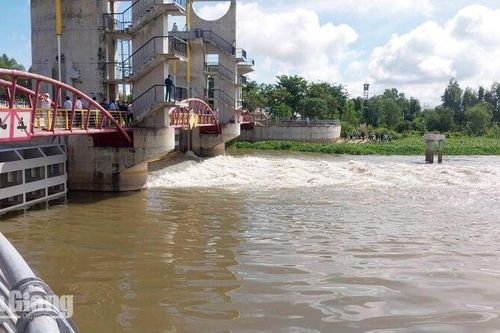 Mở cống Tha La và Trà Sư kiểm soát lũ từ ngày 25/9