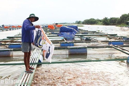Gỡ điểm nghẽn, tạo dư địa cho doanh nghiệp phát triển