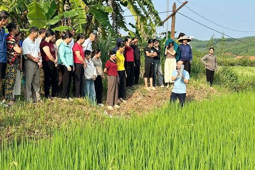 Hơn 500 người dân xã An Lạc được bồi dưỡng kiến thức sản xuất nông, lâm nghiệp