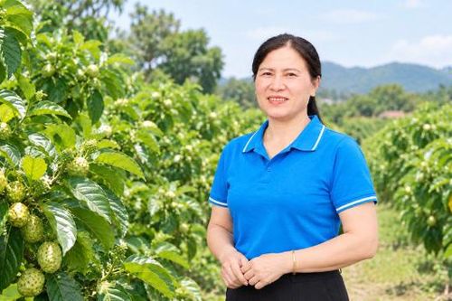 Tạo môi trường thuận lợi cho phụ nữ khởi nghiệp