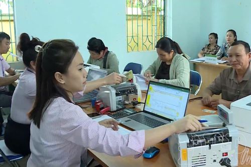 Điện Biên: 532 chủ rừng chưa mở tài khoản nhận tiền DVMTR