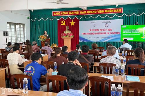 Bồi dưỡng kỹ năng bán hàng online và ứng dụng trí tuệ nhân tạo cho các hợp tác xã