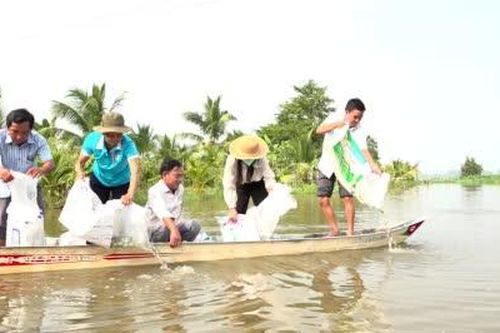 Xã Tân Thạnh: Thả hơn 28.000 con cá giống phát triển sinh kế, tái tạo nguồn lợi thủy sản