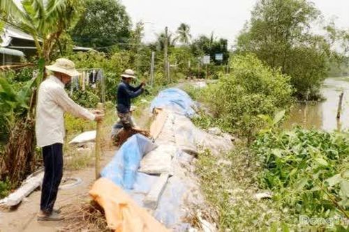 Đồng Tháp: Từ nay đến cuối năm còn 7 đợt triều cường