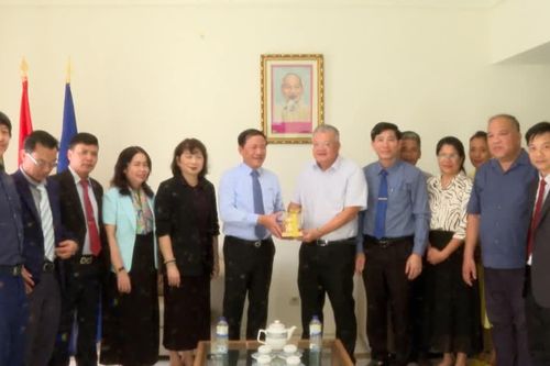 Chủ tịch UBND tỉnh Gia Lai Phạm Anh Tuấn thăm, làm việc với Đại sứ quán Việt Nam tại Bồ Đào Nha