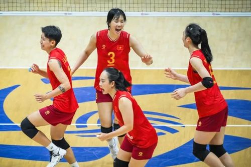Thắng dễ Qatar 3-0, ĐT bóng chuyền nữ Việt Nam khởi đầu thuận lợi