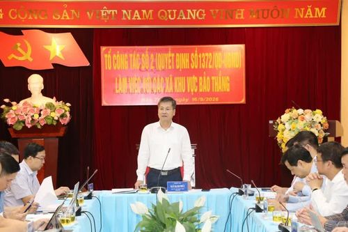 Tập trung tháo gỡ khó khăn, đẩy nhanh tiến độ các dự án tại khu vực Bảo Thắng