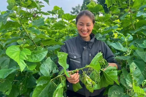 Khát vọng đổi mới của nữ nông dân xuất sắc