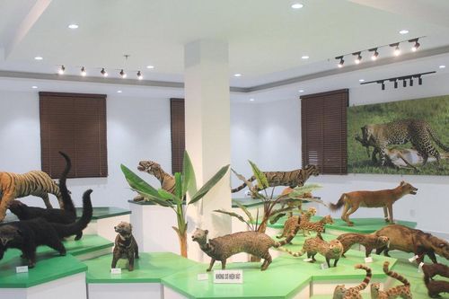 Sức hút của đại ngàn Tây Nguyên thu nhỏ