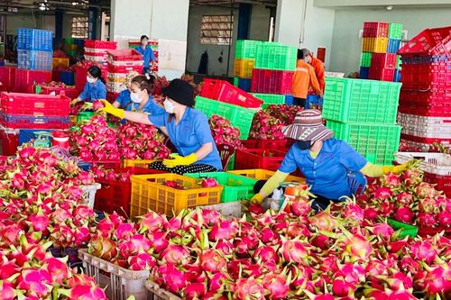 Gỡ điểm nghẽn, mở đường cho hàng hóa Đông Lâm Đồng