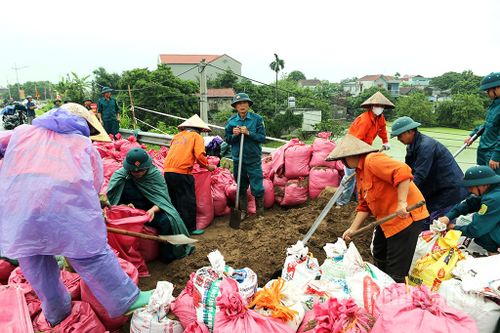 Khẩn trương xử lý sạt trượt mái thượng lưu đê tả Đáy