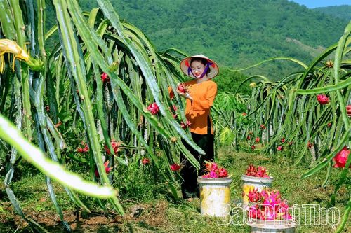 Nông nghiệp tuần hoàn - lực đẩy phát triển bền vững