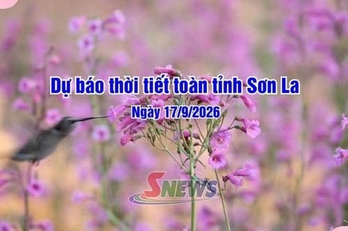 Dự báo thời tiết toàn tỉnh Sơn La ngày 17/9/2026