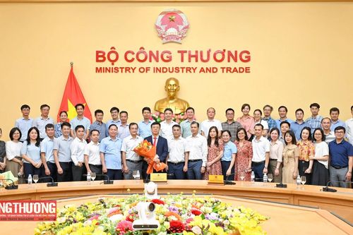 Chức năng, nhiệm vụ, quyền hạn và cơ cấu tổ chức của Cục Điện lực (Bộ Công Thương)