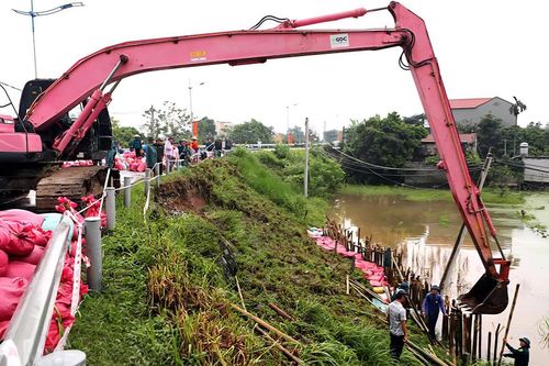 Ninh Bình: Huy động 130 người và máy xúc cùng 5.000 bao tải cát vá đê tả sông Đáy