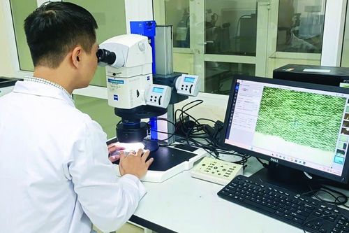 Đơn giản việc phân loại hàng hóa, tạo lực đẩy cho thương mại