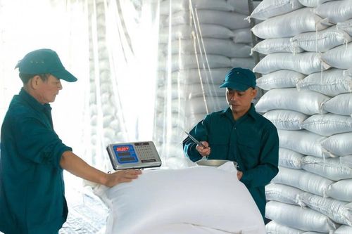 Xuất cấp hơn 5.567 tấn gạo dự trữ hỗ trợ học sinh