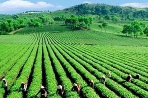 Việt Nam sẽ tham gia Triển lãm xanh thế giới 2027 - GREEN EXPO 2027