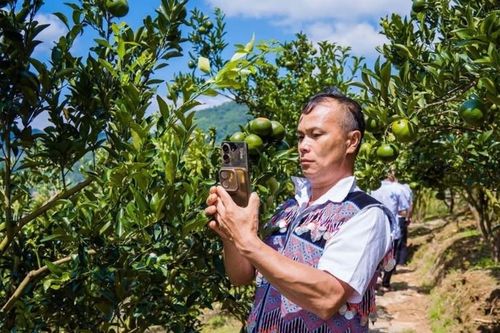 Đòn bẩy từ Dự án 3: Đưa HTX vùng khó bứt phá trong chuỗi giá trị