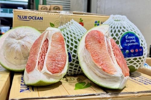 Sớm nối lại xuất khẩu bưởi Việt sang Australia