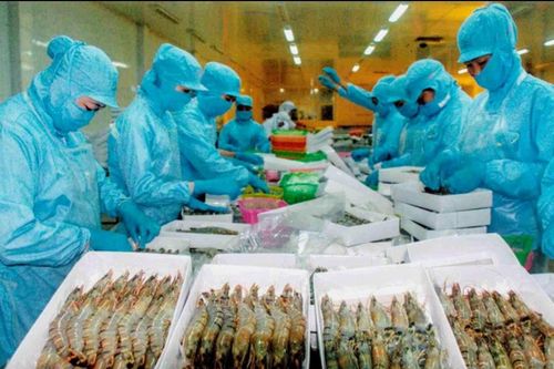 Giá nguyên liệu thủy sản ổn định, doanh nghiệp nỗ lực tăng giá trị hàng xuất khẩu