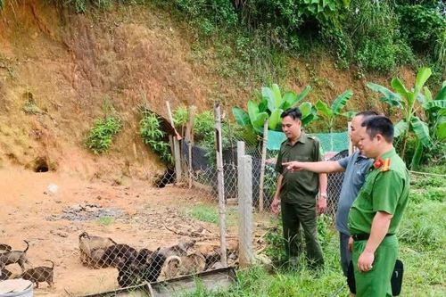Công an xã Bình Yên giúp người chấp hành xong án phạt tù làm kinh tế giỏi