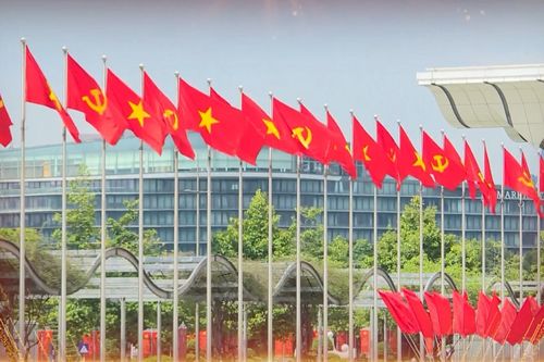 Vững nền tảng, sáng niềm tin