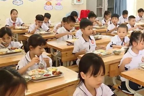 Hà Nội tổng rà soát toàn diện quy trình bữa ăn bán trú
