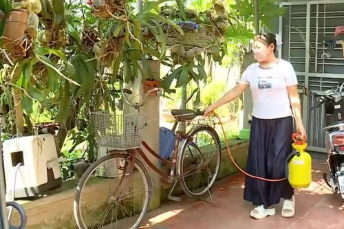 Cảnh giác sốt xuất huyết gia tăng nếu người dân chủ quan