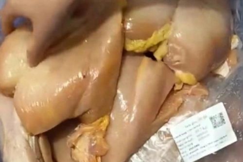 Hà Nội yêu cầu khẩn trương kiểm tra, làm rõ phản ánh thịt gà và tôm bốc mùi được đưa đến trường học
