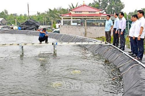 Tân Hưng cần ưu tiên hạ tầng kết nối, tạo động lực phát triển