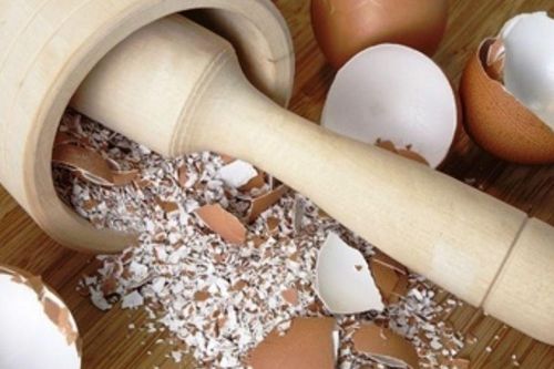 Vỏ trứng tưởng chỉ là rác nhà bếp, giữ lại mới thấy 5 công dụng bất ngờ