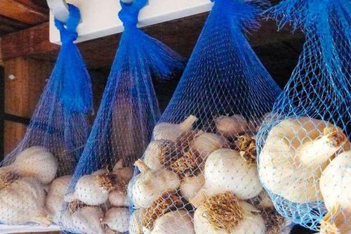 Hành, tỏi mua về đừng cất tùy tiện: 6 nguyên tắc giúp củ khô ráo, lâu mọc mầm