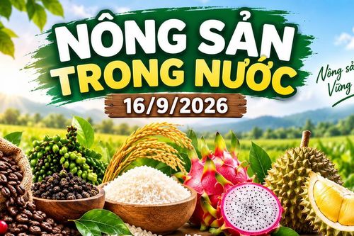 Nông sản trong nước 16/9: Cà phê quanh 95.000 đồng/kg, hồ tiêu giữ vùng giá cao