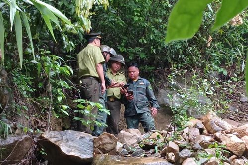 Tăng cường giám sát rừng bằng công nghệ số