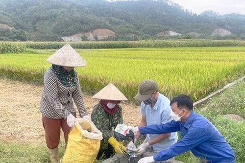 Duy trì 114 mô hình 'Nông dân bảo vệ môi trường, ứng phó biến đổi khí hậu'