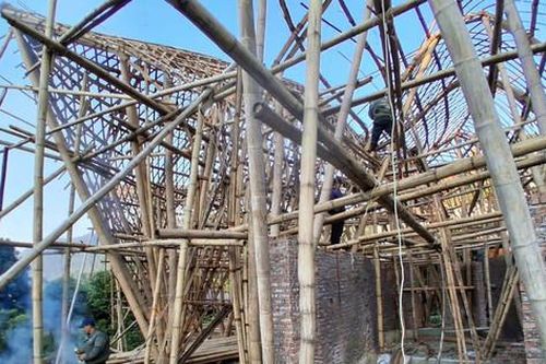 Xã Trung Giã không để vi phạm đất rừng kéo dài
