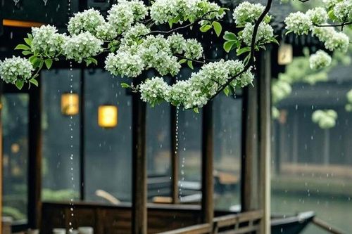 Số cuối ngày sinh Âm lịch của người càng về già càng nhiều phúc lộc